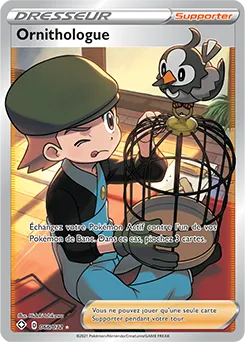 Destinées Radieuses