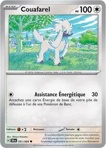 Carte Pokemon
